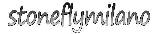 Stoneflymilano